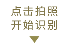 点击拍照 开始识别